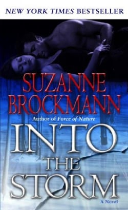 Into the Storm: A Novel (Paperback)
