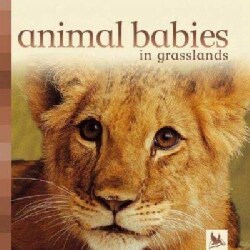 Animal Babies In Grasslands (Board book)