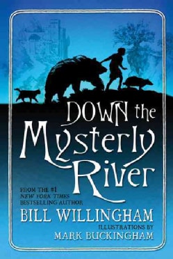 Down the Mysterly River (Hardcover)
