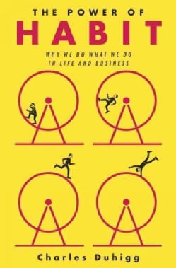 The Power of Habit: Why We Do What We Do in Life and Business (Hardcover)