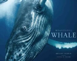 Beautiful Whale (Hardcover)