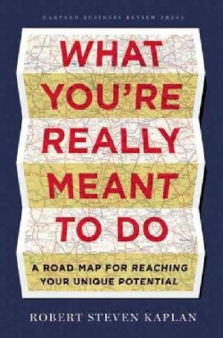 What You're Really Meant to Do: A Roadmap for Reaching Your Unique Potential (Hardcover)