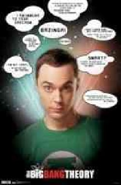 Big Bang Theory: Quotes (Poster)