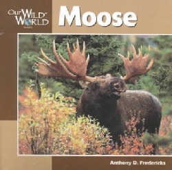 Moose (Paperback)
