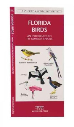 Florida Birds: An Introduction to Familiar Species (Paperback)