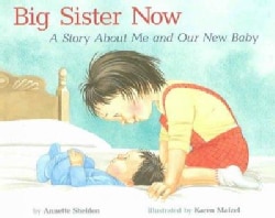 Big Sister Now: A Story About Me And Our New Baby (Paperback)