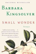 Small Wonder (Paperback)