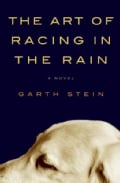 The Art of Racing in the Rain (Hardcover)