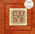 The Cube: Keep the Secret (Paperback)