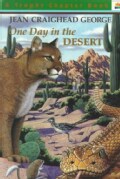 One Day in the Desert (Paperback)