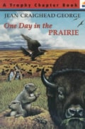 One Day in the Prairie (Paperback)