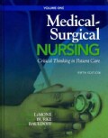 Medical-Surgical Nursing: Critical Thinking in Client Care (Hardcover)
