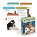 Puppyhood Deck: 50 Tips for Raising the Perfect Dog (Cards)