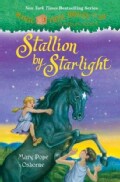 Stallion by Starlight (Hardcover)