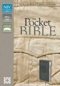 Holy Bible: New International Version, Charcoal, Italian Duo-Tone, Pocket Bible (Paperback)