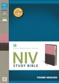 NIV Study Bible: New International Version, Berry Creme/Chocolate, Italian Duo-Tone (Paperback)