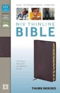 Holy Bible: New International Version, Burgundy, Bonded Leather, Thinline Bible (Paperback)