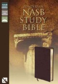 Zondervan Nasb Study Bible: Burgundy Bonded Leather (Paperback)