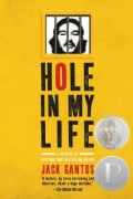 Hole in My Life (Paperback)