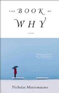 The Book of Why (Hardcover)