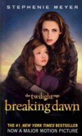 Breaking Dawn (Paperback)