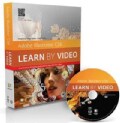 Adobe Illustrator Cs6: Learn by Video