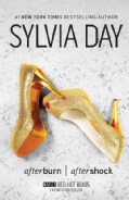 Afterburn / Aftershock (Paperback)
