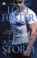 A Perfect Storm (Paperback)