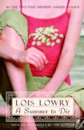 A Summer to Die (Paperback)