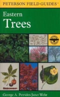 A Field Guide to Eastern Trees: Eastern United States and Canada, Including the Midwest (Paperback)