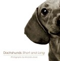 Dachshunds Short and Long (Paperback)