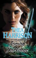 Rising Darkness (Paperback)
