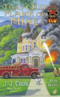 That Old Flame of Mine (Paperback)