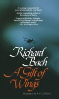 A Gift of Wings (Paperback)