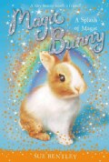 A Splash of Magic (Paperback)