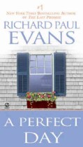 A Perfect Day (Paperback)