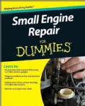 Small Engine Repair for Dummies (Paperback)