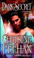 Dark Secret (Paperback)