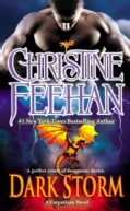 Dark Storm (Paperback)