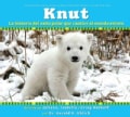 Knut: La historia del osito polar que cautivo al mundo entero/ The Story of a Little Polar Bear That Captivated t... (Paperback)