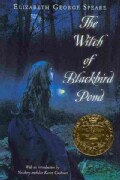 The Witch of Blackbird Pond (Paperback)