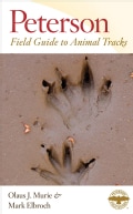 Peterson Field Guide to Animal Tracks (Paperback)
