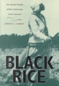 Black Rice: The African Origins of Rice Cultivation in the Americas (Paperback)