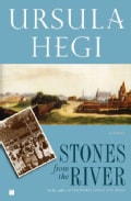 Stones from the River (Paperback)