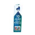 Eric Carle the Artist Who Painted a Blue Horse Chunky Colored Pencils (Novelty book)