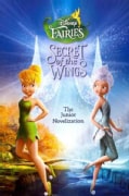 Secret of the Wings (Paperback)