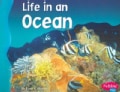 Life in an Ocean (Paperback)