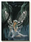 Celtic Fairy Journal (Hardcover)