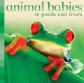 Animal Babies in Ponds and Rivers (Board book)