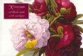 Redoute Peony: Card Box of 20 Notecards and Envelopes (Cards)